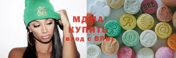 прущий лед Бородино