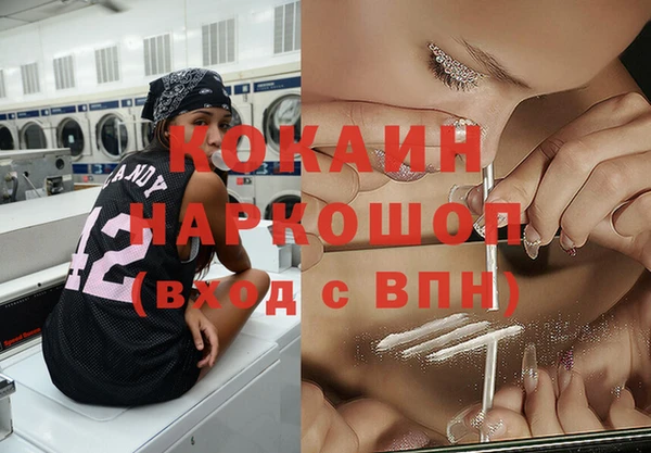 прущий лед Бородино