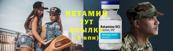 прущий лед Бородино