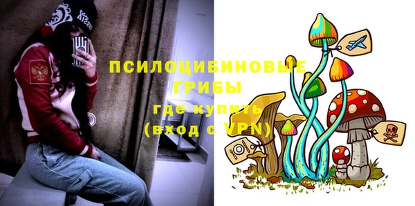 прущий лед Бородино