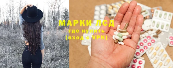 прущий лед Бородино