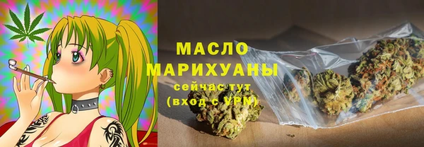 прущий лед Бородино