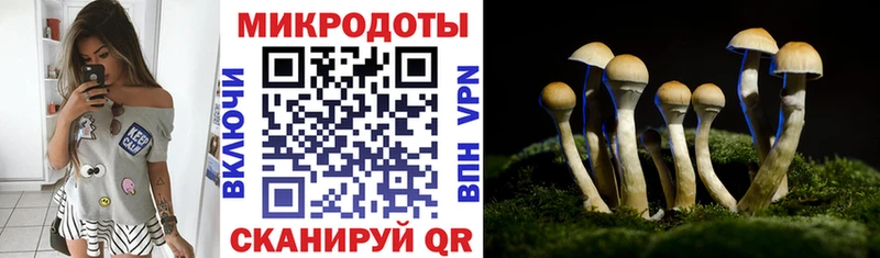 купить  цена  Тольятти  Галлюциногенные грибы Magic Shrooms 